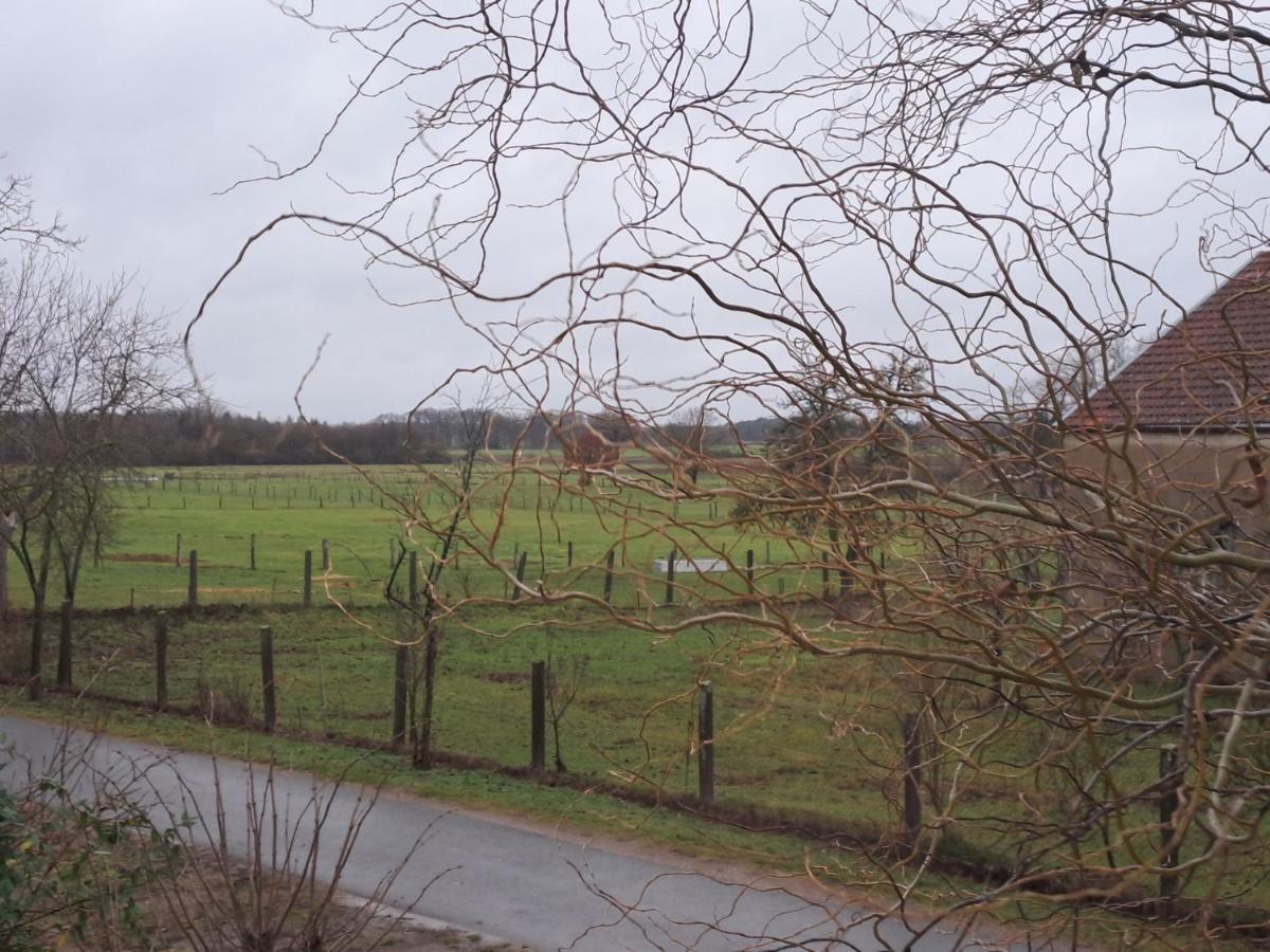 Gnaden- Und Ferienhof Saale Wittgenstein In The Middle Of Gar Nix Bismark Exterior photo